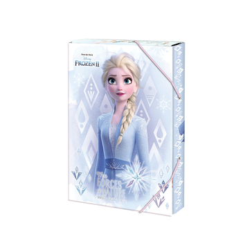 Box na sešity A4, Frozen