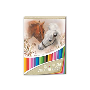Papíry barevné 24 ks, 150 g, Horses & me