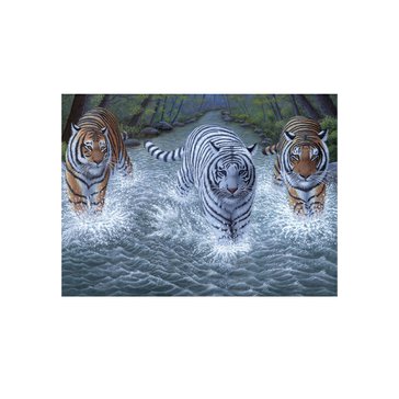 Malování podle čísel Royal Brush 30 x 40 cm, Tři tygři